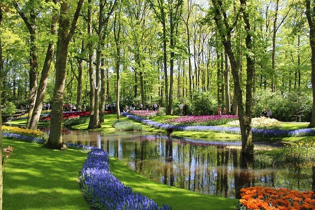 Keukenhof Gardens