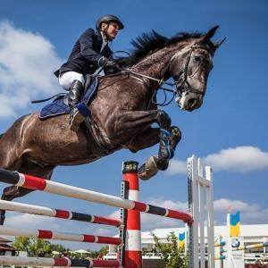 Show Jumping