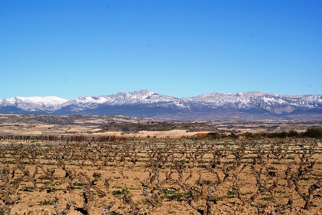 La Rioja: La Batalla del Vino