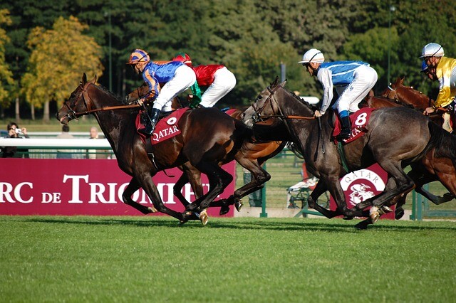 The Arc: Prix de l'Arc de Triomphe - Longchamp