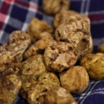 Alba White Truffle Festival