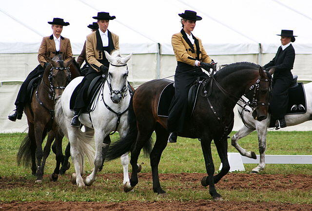 Festival Internacional do Cavalo Lusitano