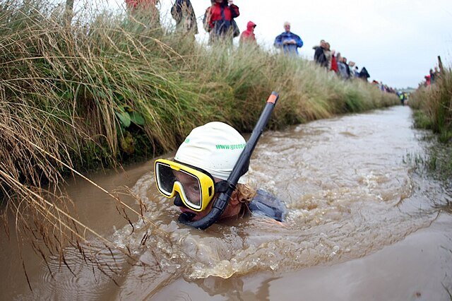 Unique Festivals: Bog Snorkelling Championships