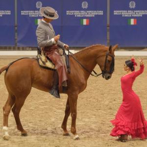 Fieracavalli Verona