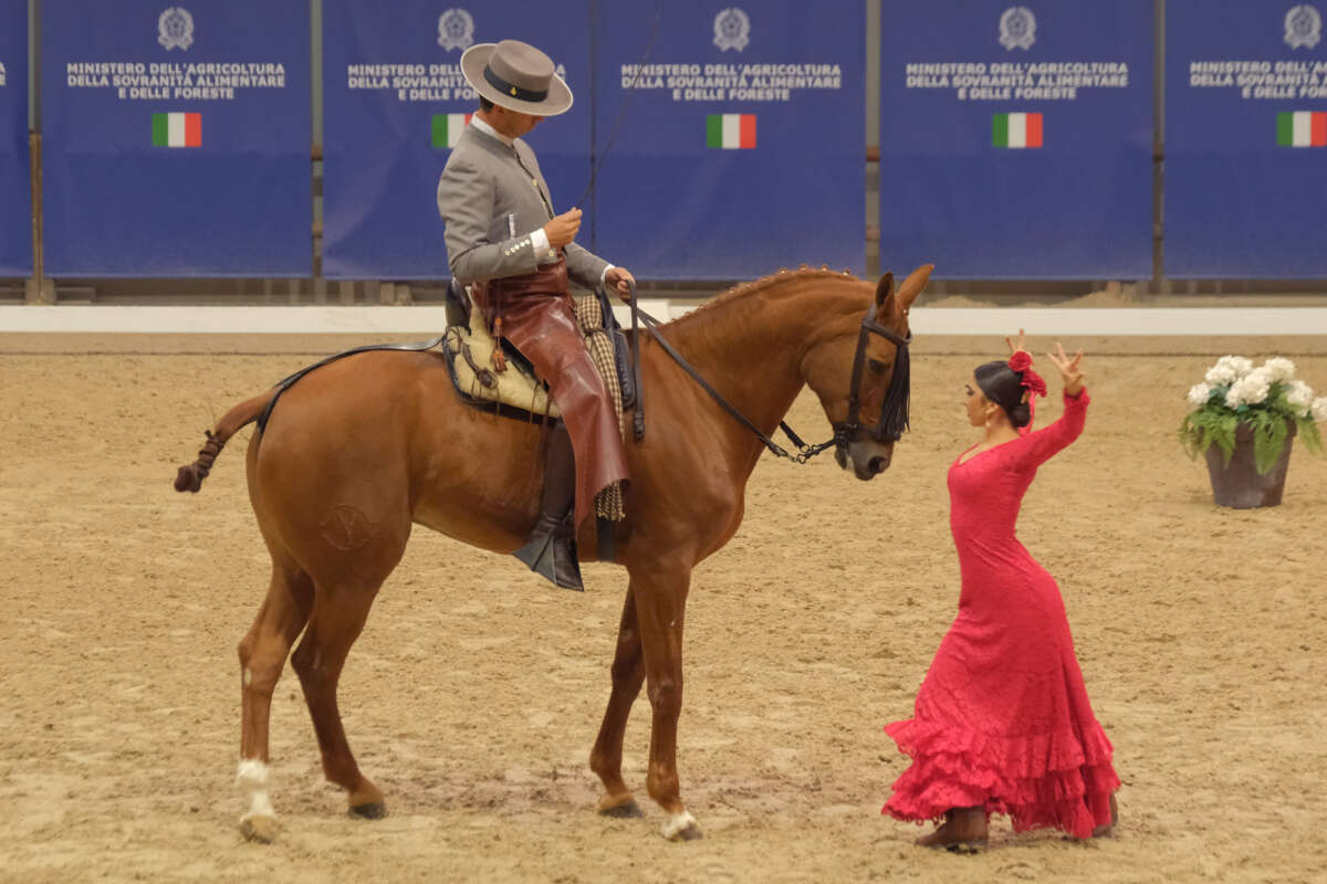 Fieracavalli Verona