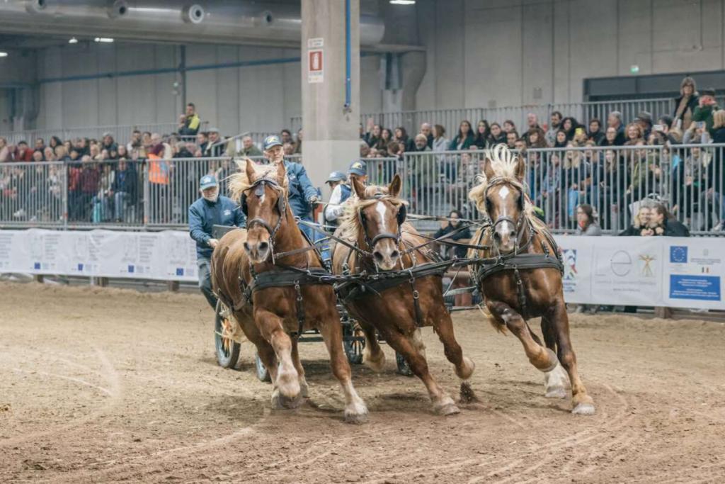 Fieracavalli Verona