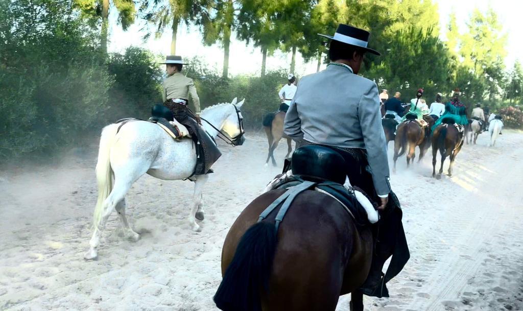 Traditional Events in Europe - Romería del Rocío