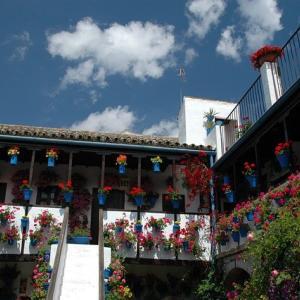 Fiesta de Los Patios de Córdoba