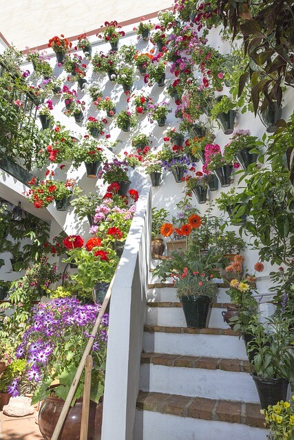 Fiesta de los Patios de Córdoba