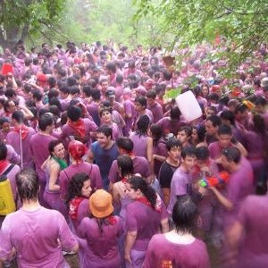 La Batalla del Vino