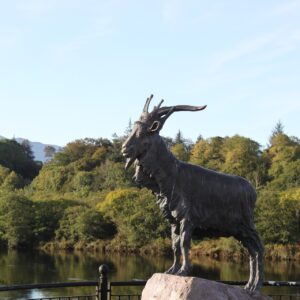 King Puck, Killorglin, Puck Festival